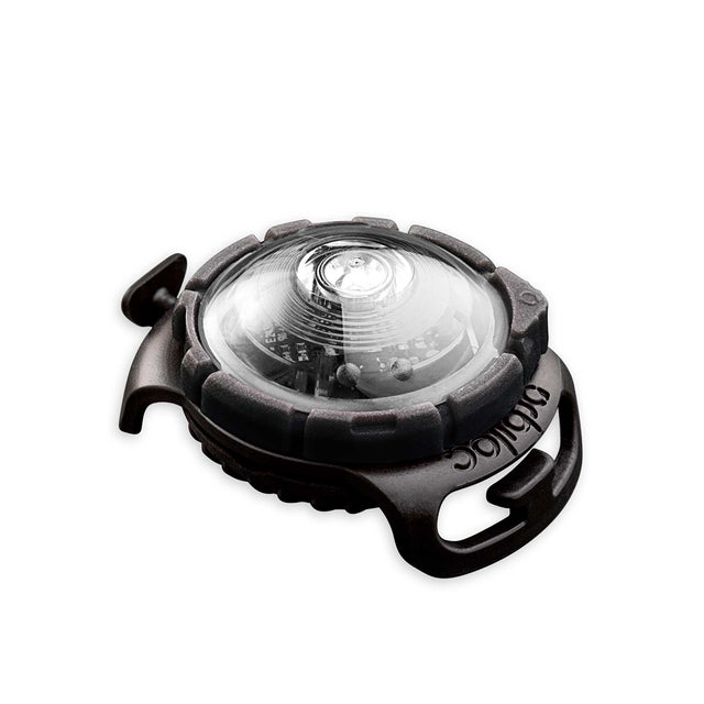Orbiloc Dog Dual Safety Light Sicherheit Weiß