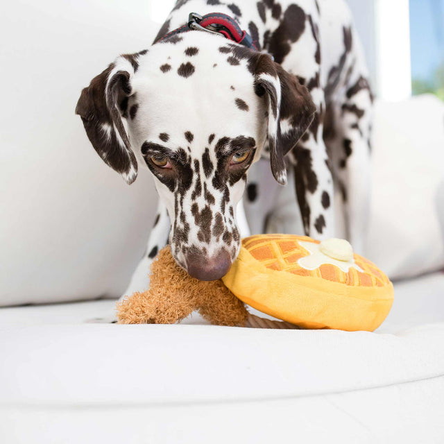 P.L.A.Y. Hundespielzeug | Chicken & Woofles Stoffspielzeug