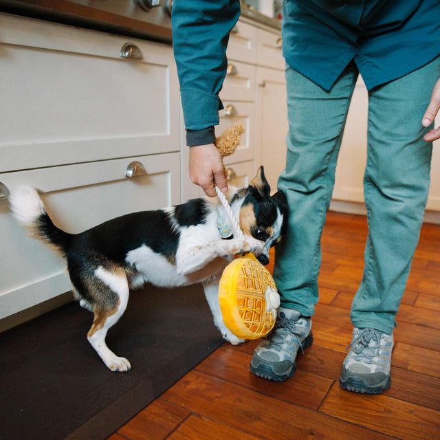 P.L.A.Y. Hundespielzeug | Chicken & Woofles Stoffspielzeug