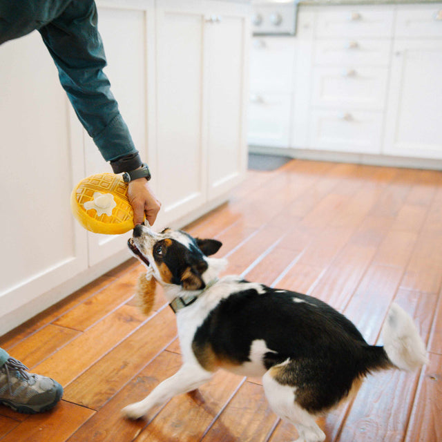 P.L.A.Y. Hundespielzeug | Chicken & Woofles Stoffspielzeug