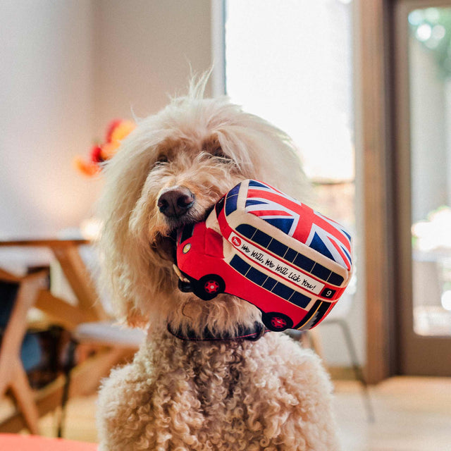 P.L.A.Y. Hundespielzeug | Lickety-Split Bus Stoffspielzeug