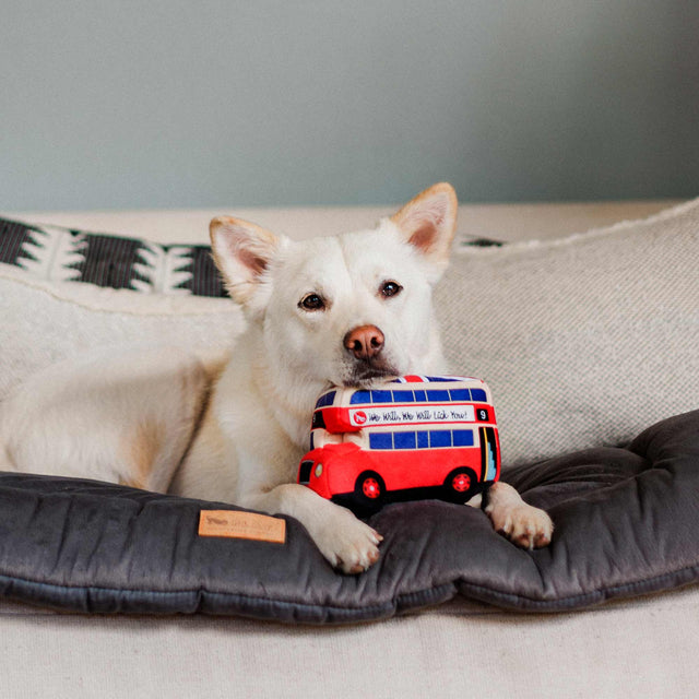P.L.A.Y. Hundespielzeug | Lickety-Split Bus Stoffspielzeug