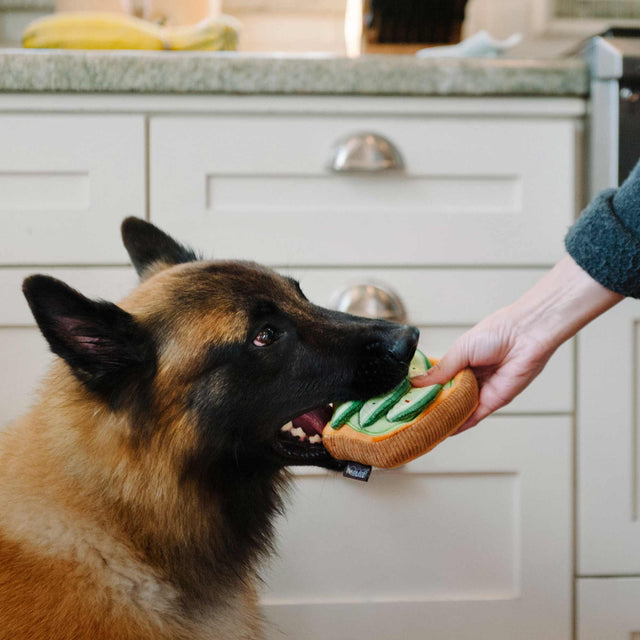 Hundespielzeug | Avo-doggo Toast