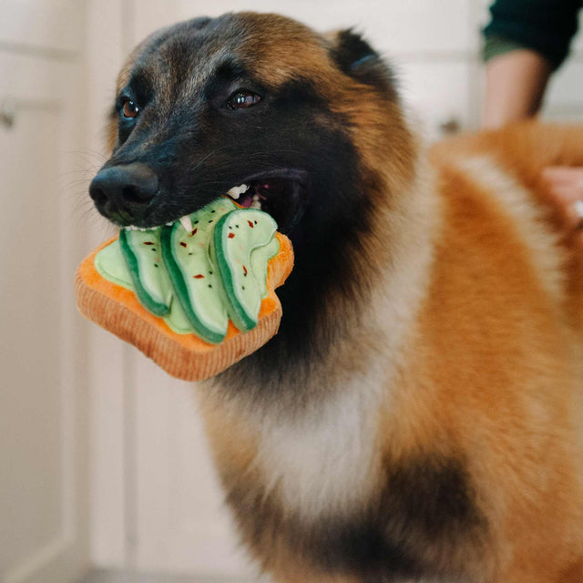 P.L.A.Y. Hundespielzeug, Avo-doggo Toast Stoffspielzeug