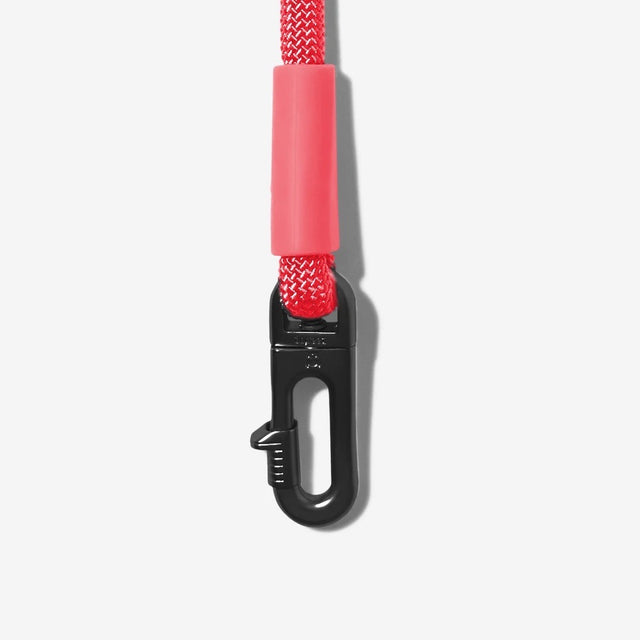 Zee.Dog Hands-Free Hundeleine Neon Coral Hundeleine