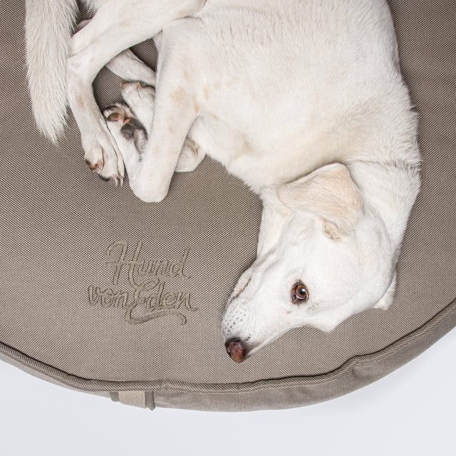 Cloud7 Hundepouf "Lighthouse Edition" Hundekissen