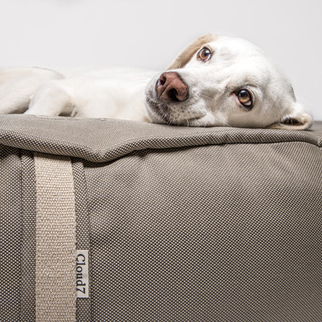 Cloud7 Hundepouf "Lighthouse Edition" Hundekissen