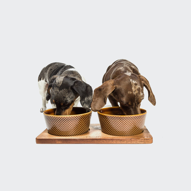 Cloud7 Set Hundenapf Alain | Cinnamon Napf