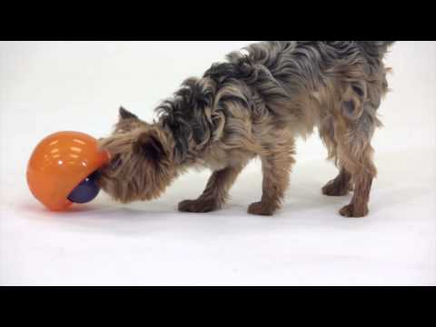 Planet Dog Hundespielzeug Orbee-Tuff® Snoop Interaktiv