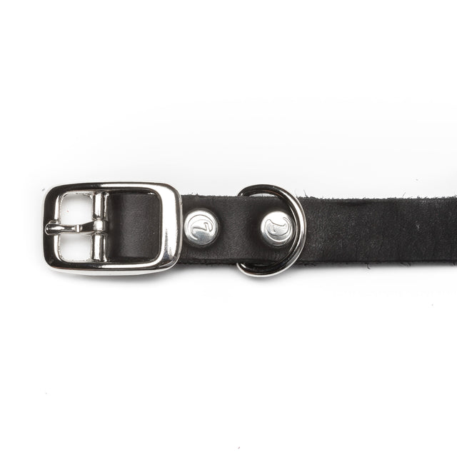 Cloud7 Hundehalsband Riverside Park | Black Hundehalsband