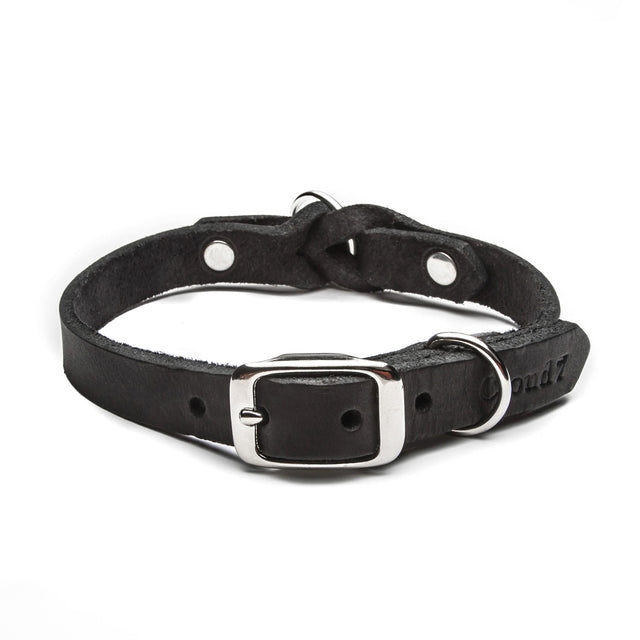Cloud7 Hundehalsband Riverside Park | Black Hundehalsband