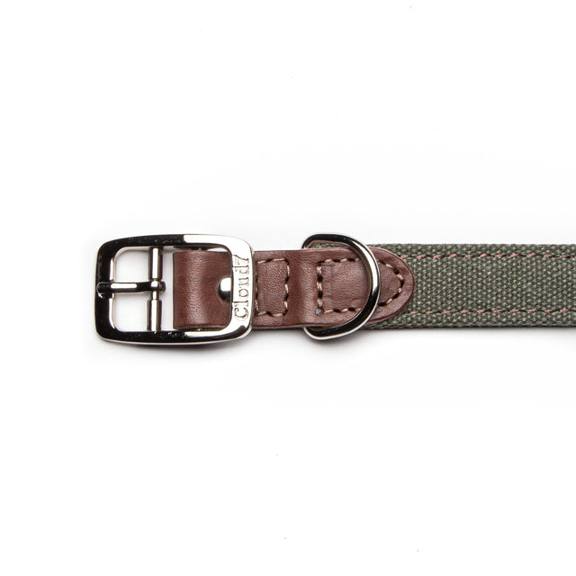 Cloud7 Hundehalsband Tivoli | Olive Hundehalsband