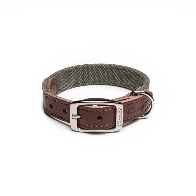 Cloud7 Hundehalsband Tivoli | Olive Hundehalsband