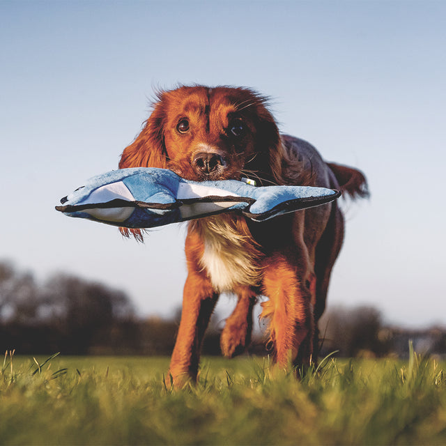 Beco Pets Hundespielzeug Recycled Rough & Tough, David the Dolphin Stoffspielzeug