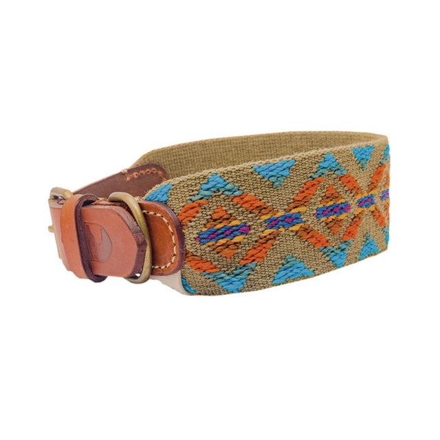 Buddys Dogwear Hundehalsband Etna Green Hundehalsband