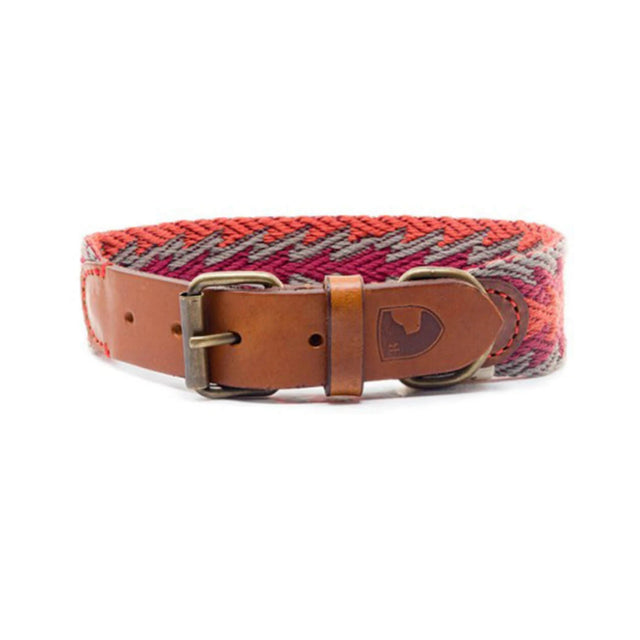 Buddys Dogwear Hundehalsband Peruvian Arrow Orange Hundehalsband