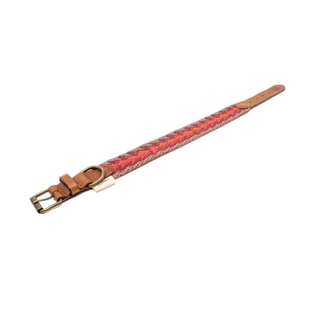 Buddys Dogwear Hundehalsband Peruvian Arrow Orange Hundehalsband