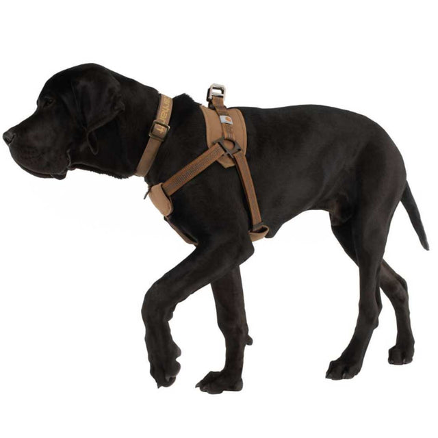 Carhartt Hundegeschirr Training Harness Hundegeschirr
