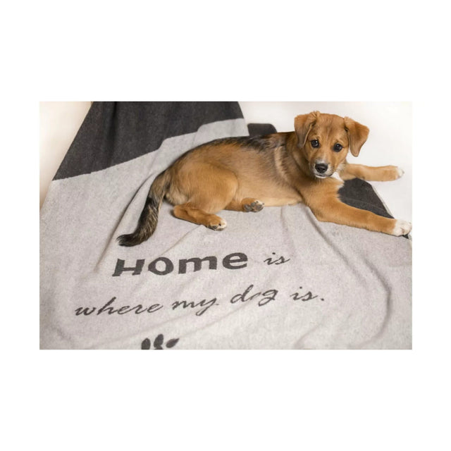 Haustierdecke | "home is where my dog is" - filz