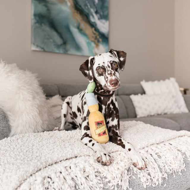 P.L.A.Y. Hundespielzeug | Canine Cerveza Stoffspielzeug