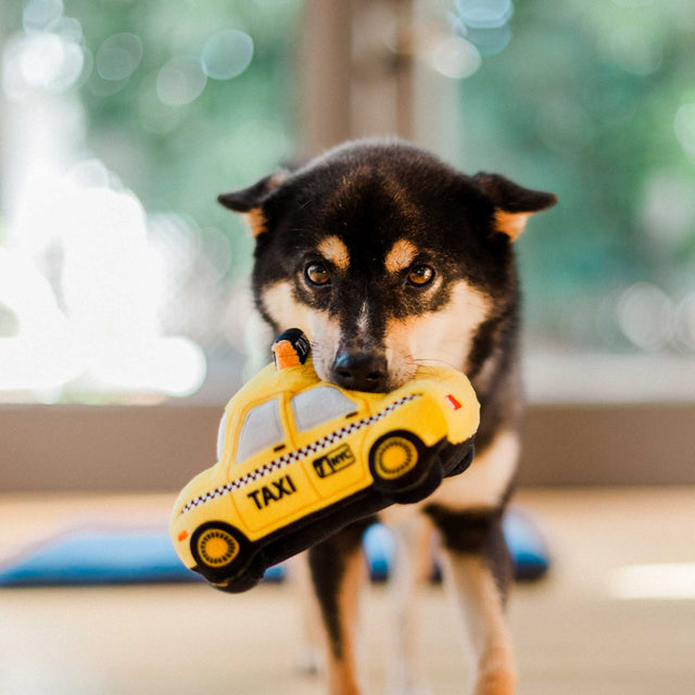 Hundespielzeug | New Yap City Taxi