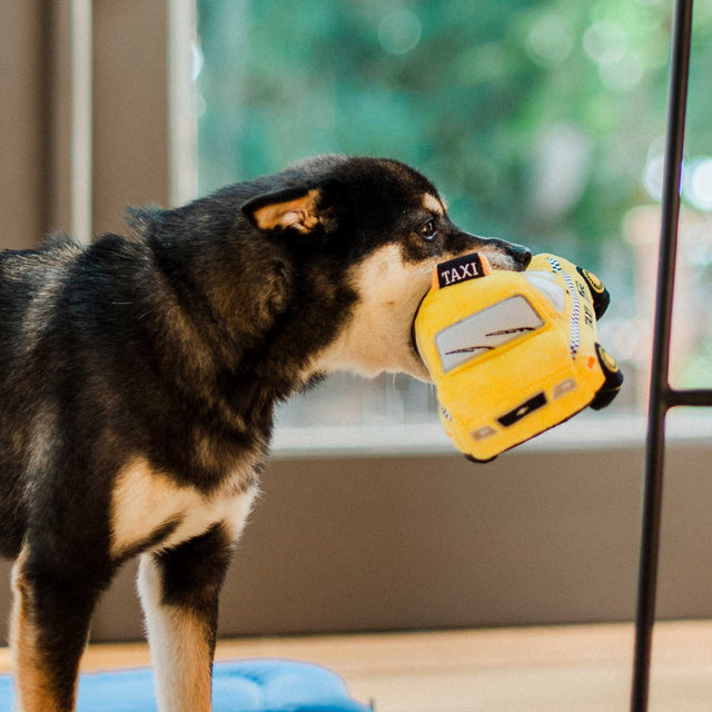 P.L.A.Y. Hundespielzeug | New Yap City Taxi Stoffspielzeug