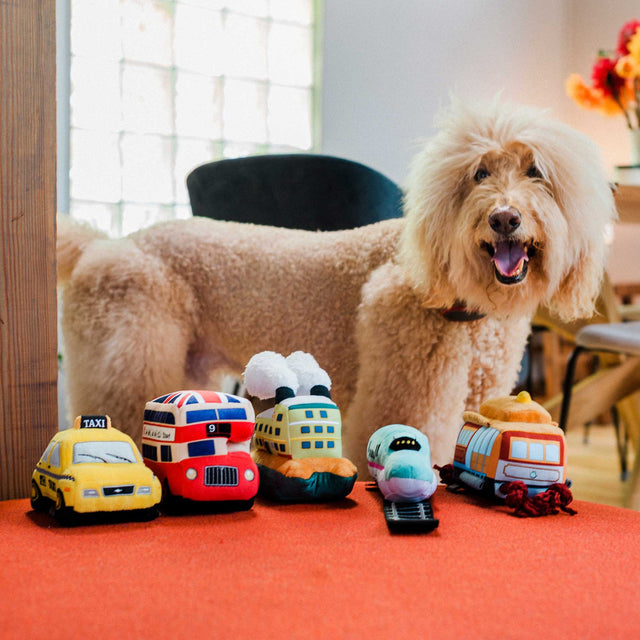 Hundespielzeug | New Yap City Taxi