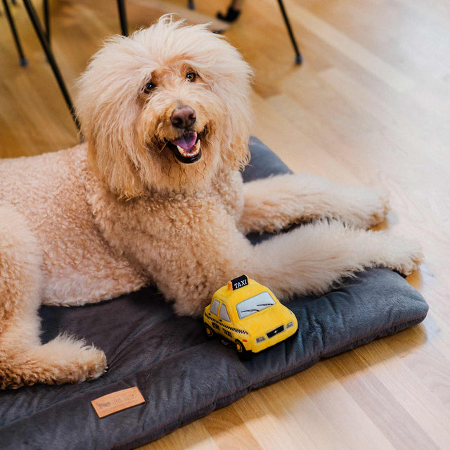 P.L.A.Y. Hundespielzeug | New Yap City Taxi Stoffspielzeug