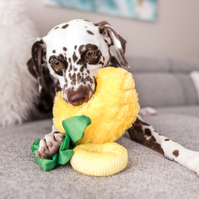 P.L.A.Y. Hundespielzeug | Paws Up Pineapple Stoffspielzeug