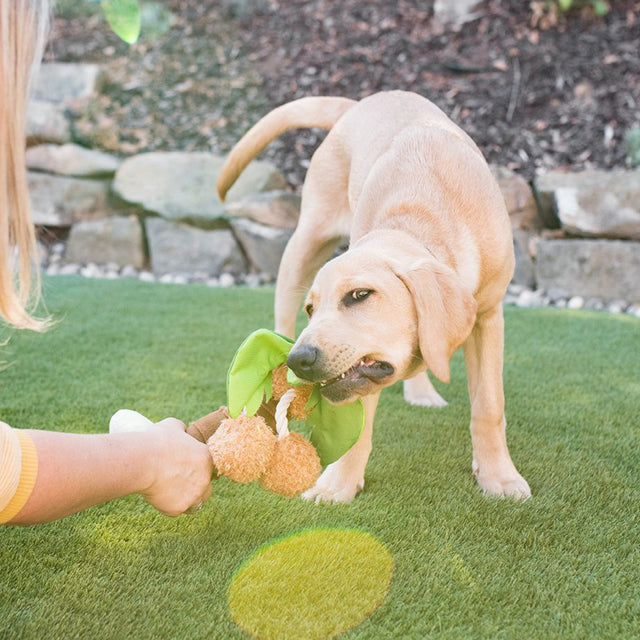 P.L.A.Y. Hundespielzeug | Puppy Palm Stoffspielzeug