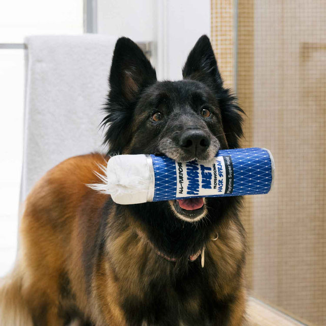 P.L.A.Y. Hundespielzeug | Pawqua Net Stoffspielzeug