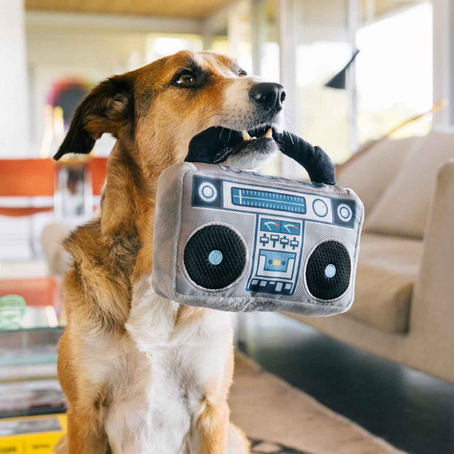 P.L.A.Y. Hundespielzeug | Boop Box Stoffspielzeug