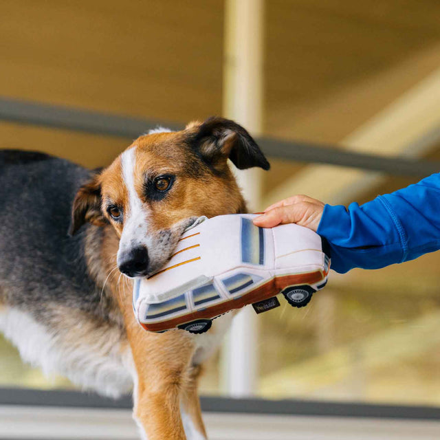 P.L.A.Y. Hundespielzeug | Scruffy's Station Waggin' Stoffspielzeug