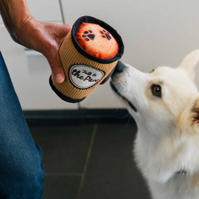 P.L.A.Y. Hundespielzeug, Doggo's Java Stoffspielzeug