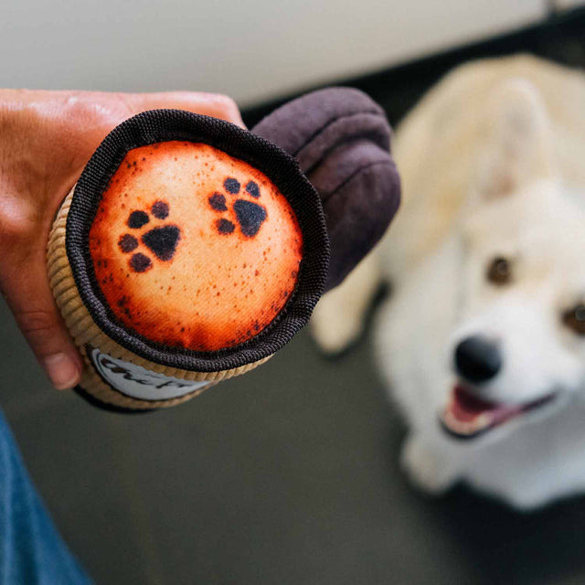 P.L.A.Y. Hundespielzeug, Doggo's Java Stoffspielzeug