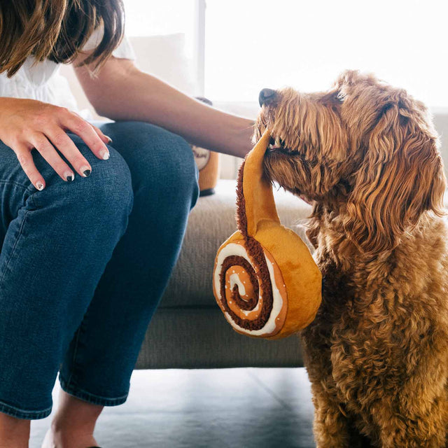 P.L.A.Y. Hundespielzeug, Cinna-bone Stoffspielzeug