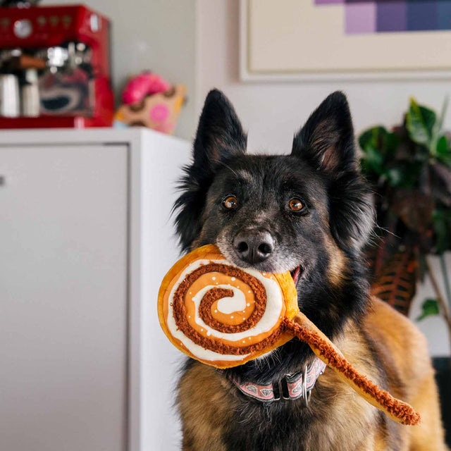 P.L.A.Y. Hundespielzeug, Cinna-bone Stoffspielzeug
