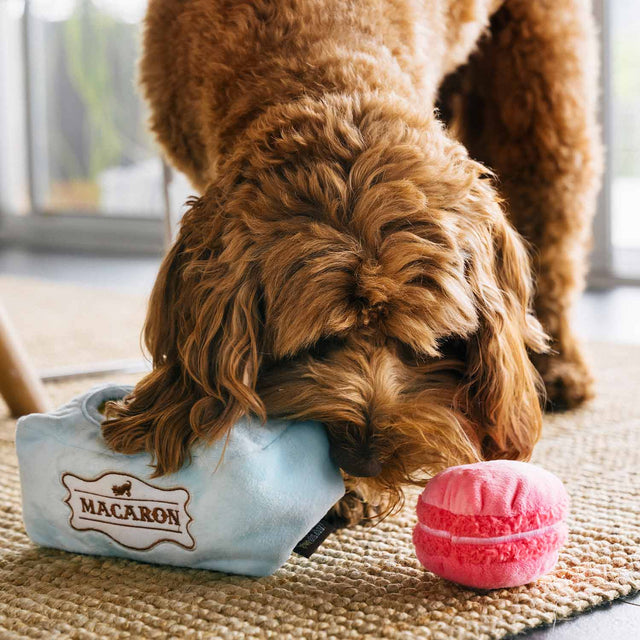 P.L.A.Y. Hundespielzeug, Mutt-a-rons Stoffspielzeug