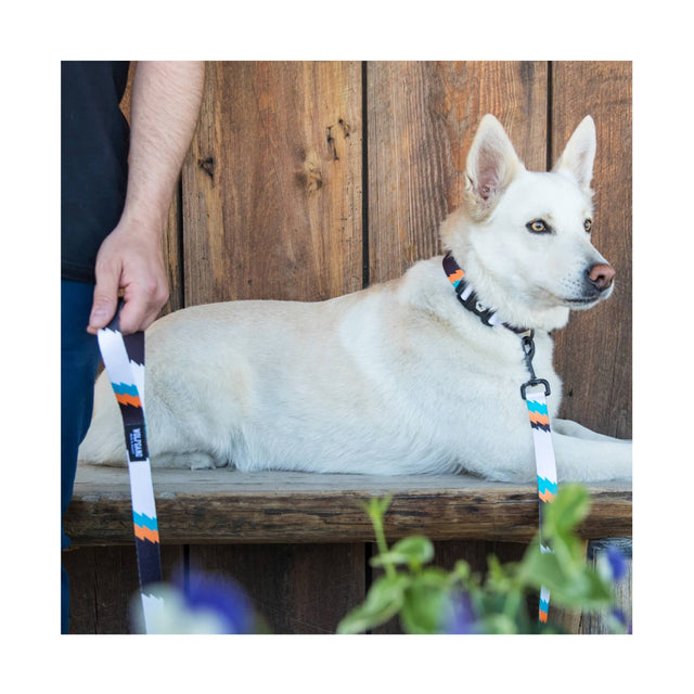 Wolfgang Man & Beast Hundehalsband | BigShock Hundehalsband