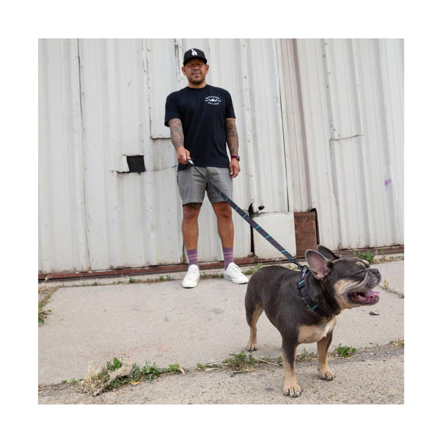 Wolfgang Man & Beast Hundehalsband | NightOwl Hundehalsband