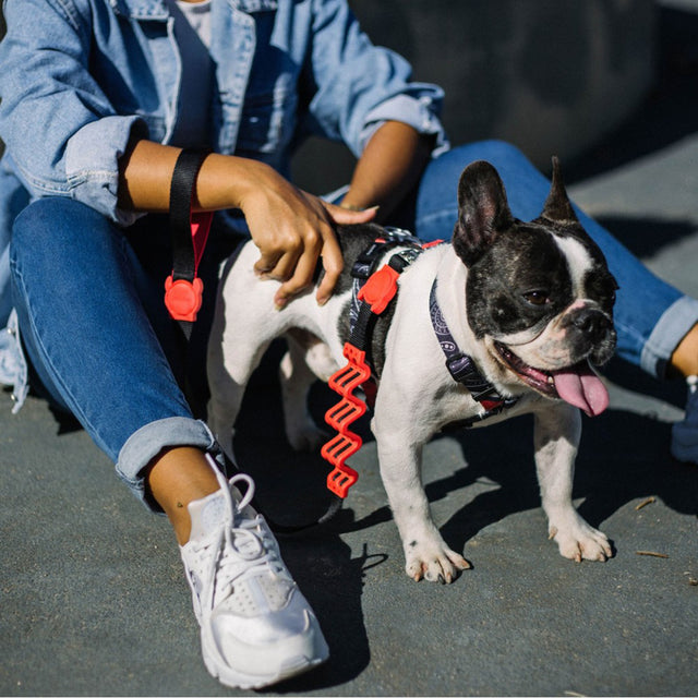 Zee.Dog Hundeleine | Ruff Leash Fatboy Hundeleine