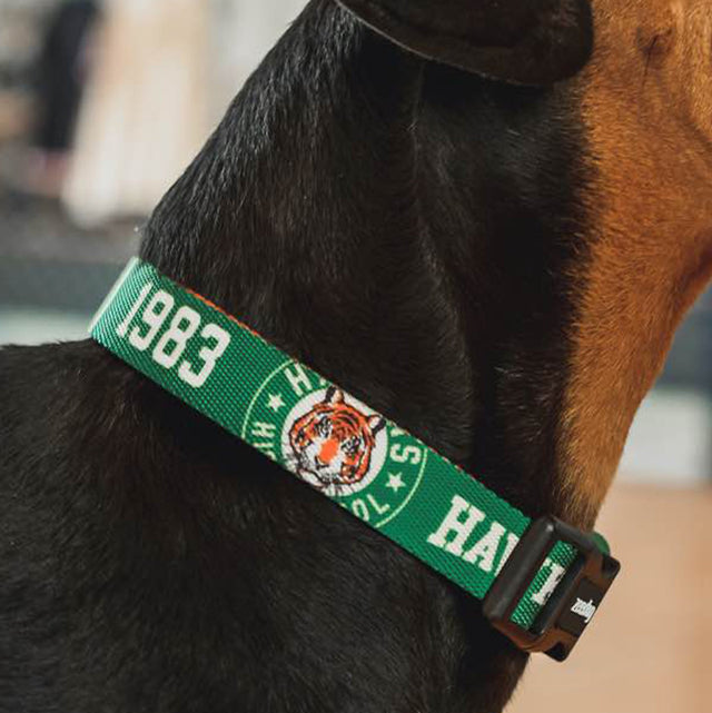 Zee.Dog Hundehalsband, Hawkins "Stranger Things Collection" Hundehalsband