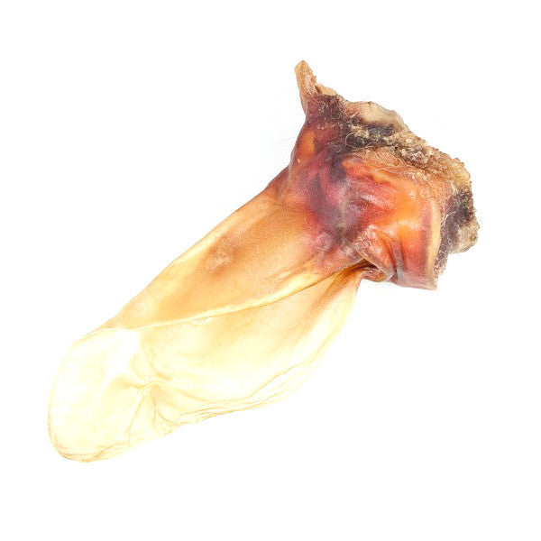 Hund von Eden Rinderohr | XXL Kauartikel