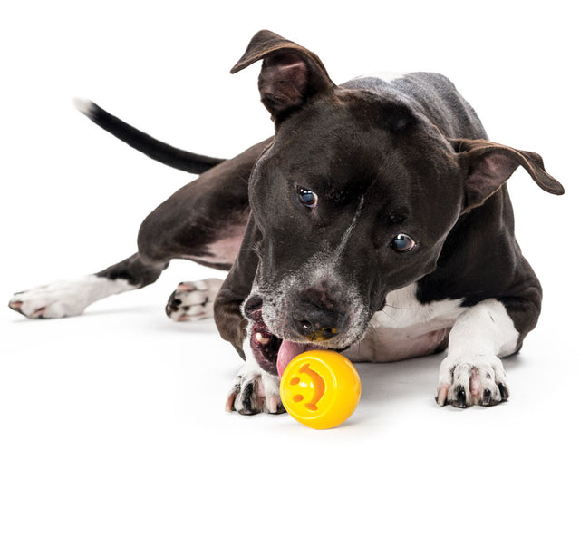 Planet Dog Hundespielzeug Orbee-Tuff® Nook | Smiley Bälle