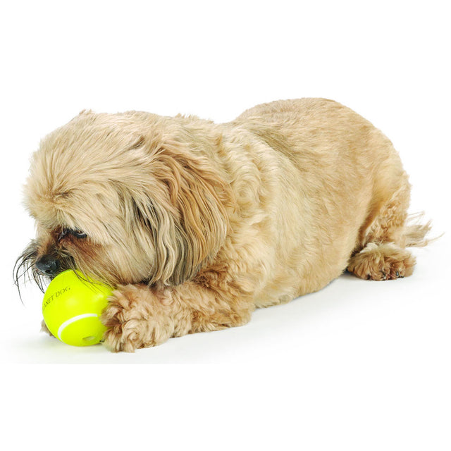 Planet Dog Hundespielzeug Orbee-Tuff® | Sport Tennisball Bälle