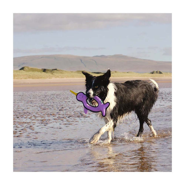 Beco Pets Hundespielzeug Recycled Rough & Tough, Nelly the Narwhal Stoffspielzeug