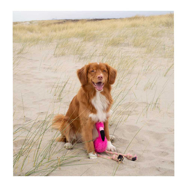 Beco Pets Hundespielzeug Recycled Rough & Tough, Fernando the Flamingo Stoffspielzeug
