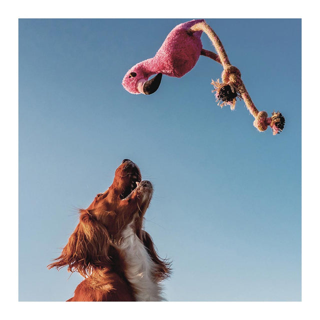 Beco Pets Hundespielzeug Recycled Rough & Tough, Fernando the Flamingo Stoffspielzeug