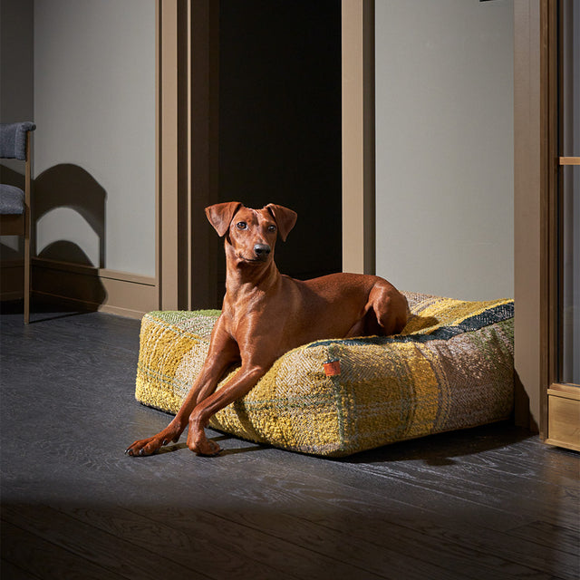 Cloud7 Hundebett | Cube Tartan Green Hundebett