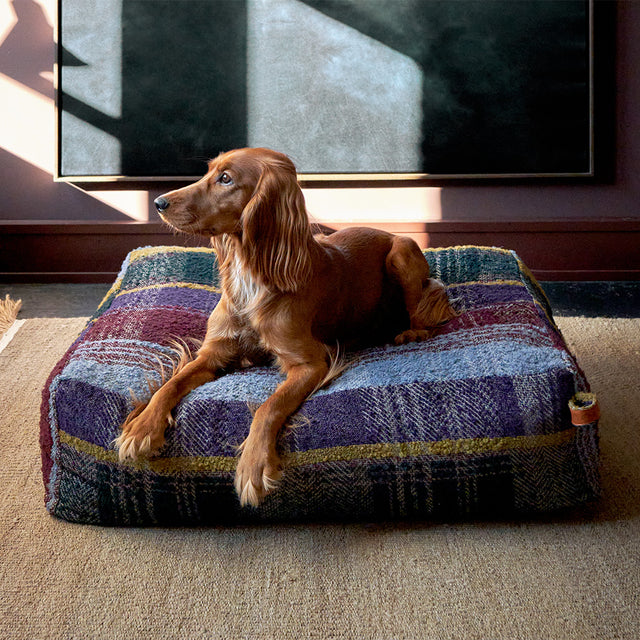 Cloud7 Hundebett | Cube Tartan Purple Hundebett
